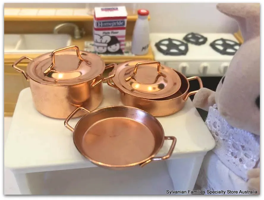 Copper pots and skillet