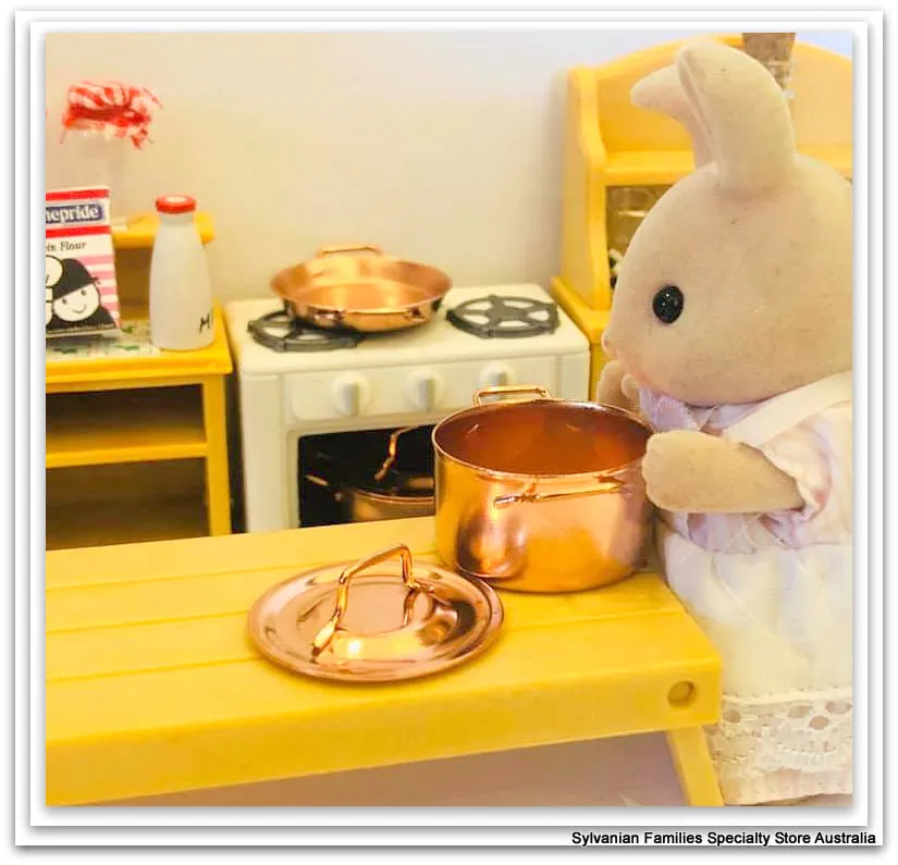 Copper pots and skillet