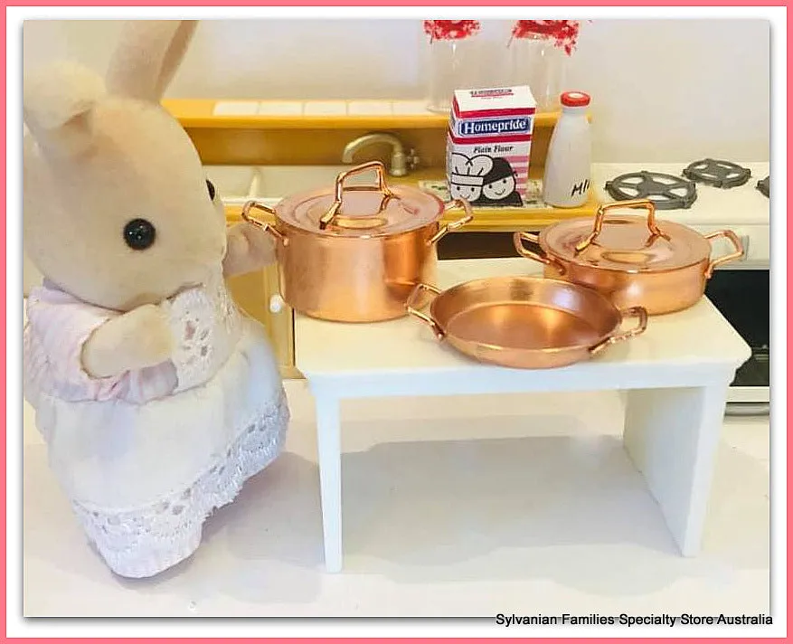 Copper pots and skillet